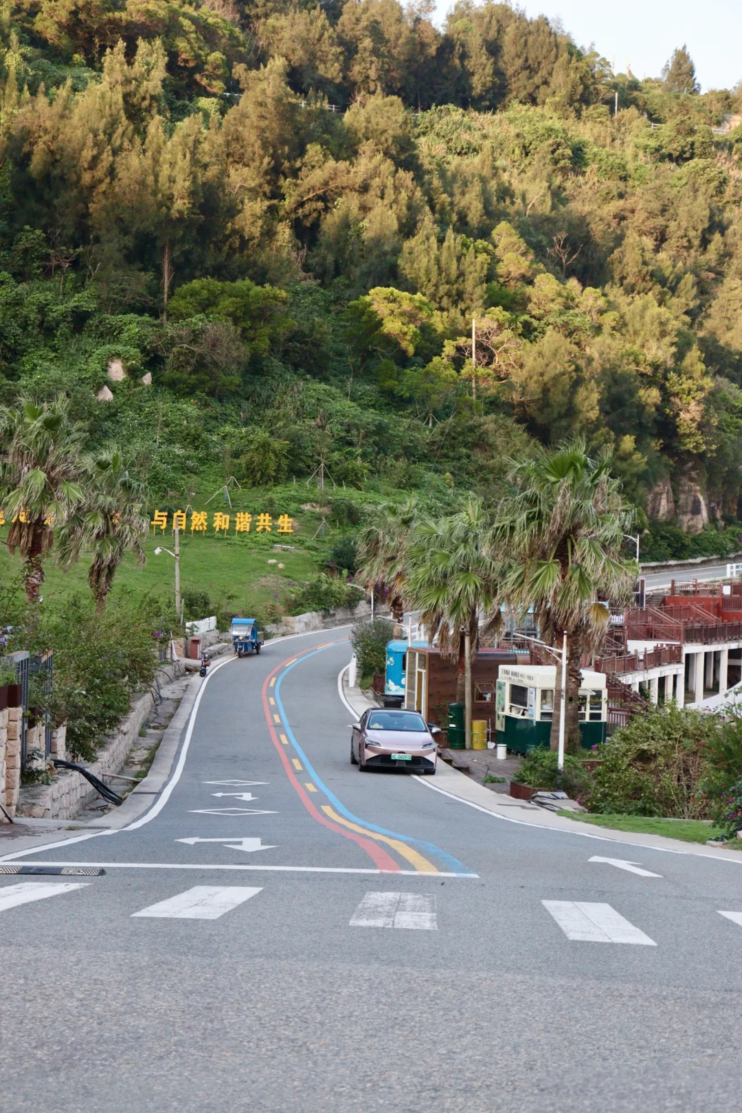 🏝️国内【新西兰】藏在浙江的小众海岛