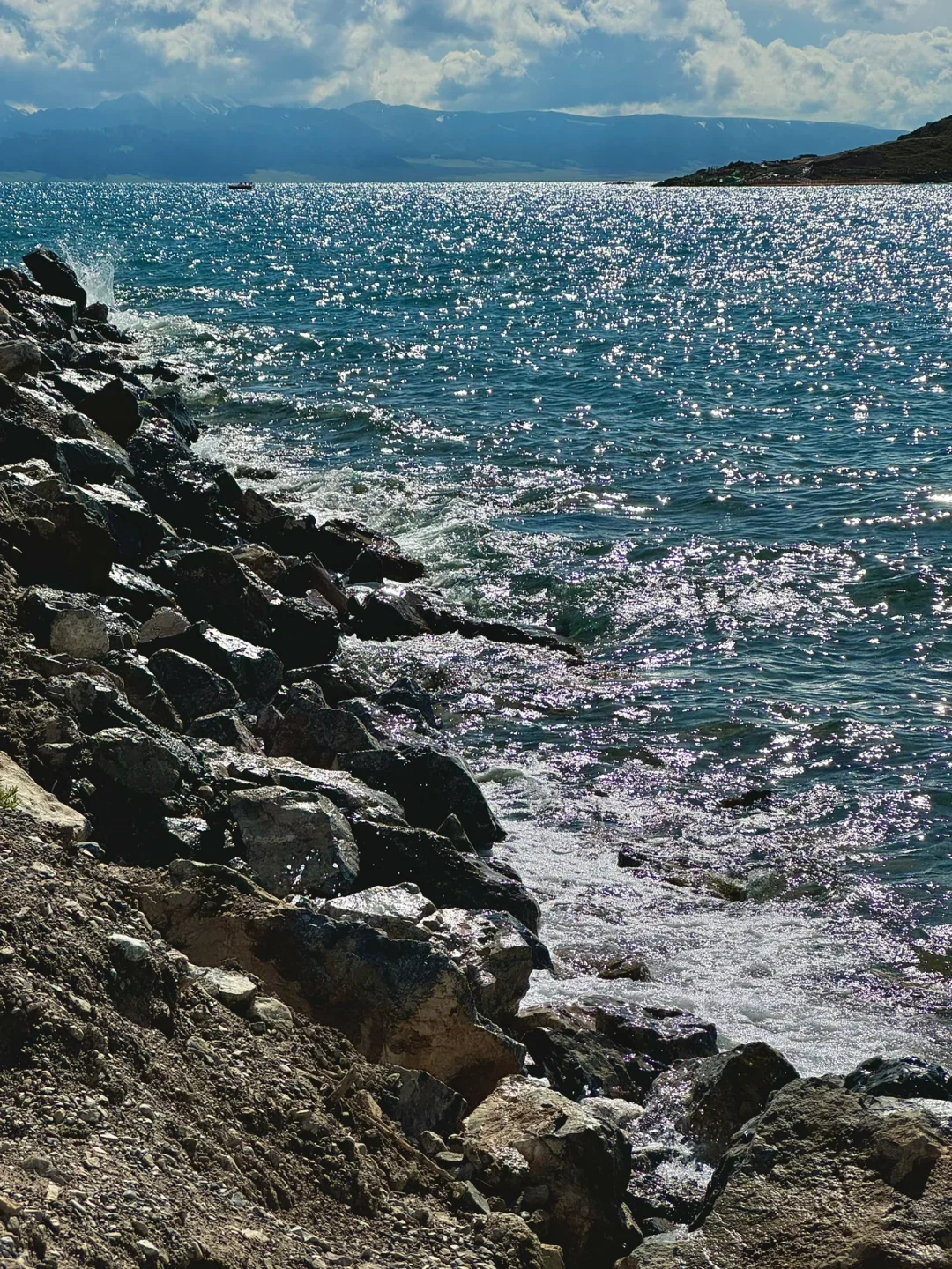 人生不是轨道而是旷野