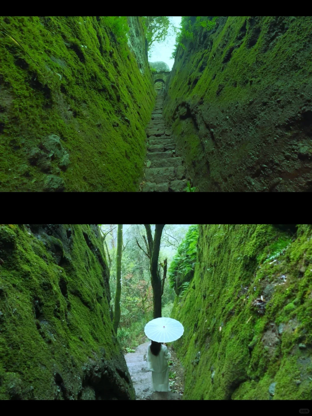 武夷山真的很好玩！！！附3天3夜攻略（松弛版