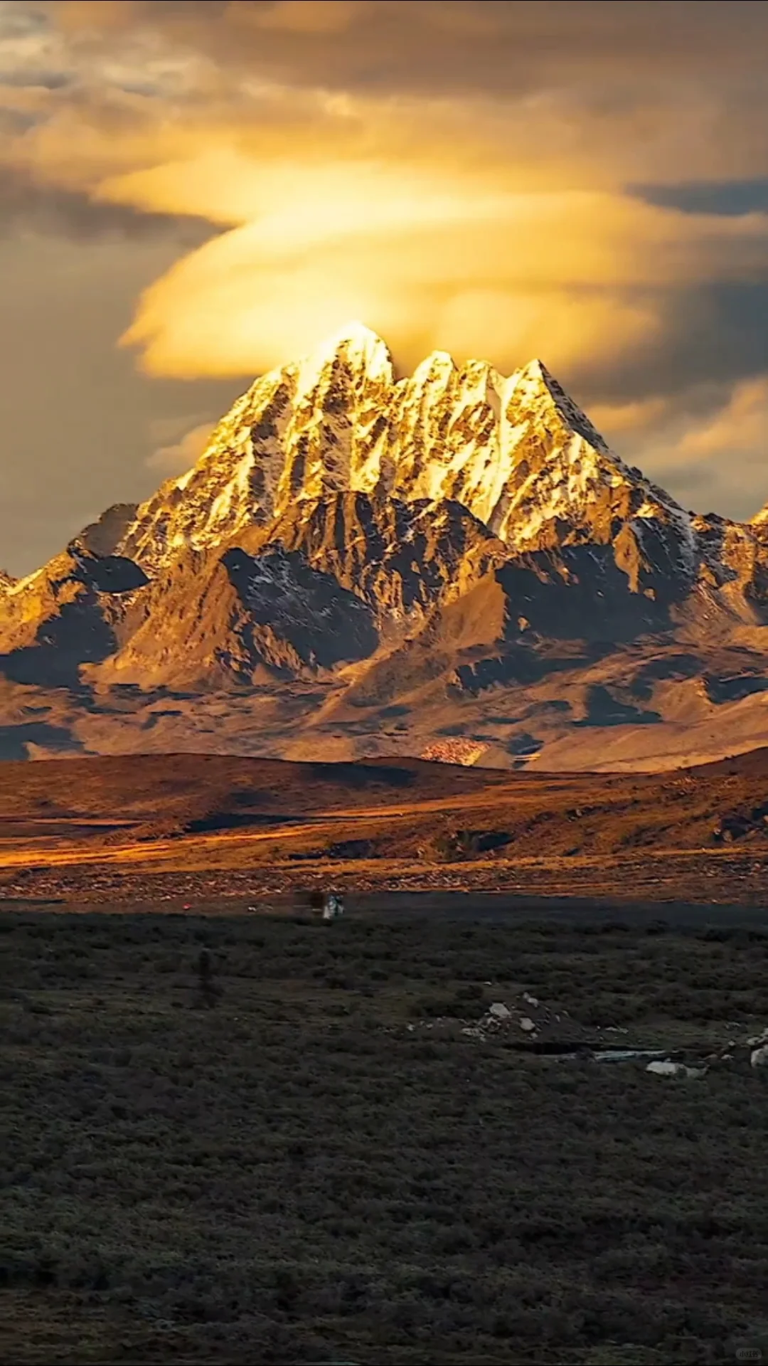 3.22📍鱼子西live实况，2天小团人均200+