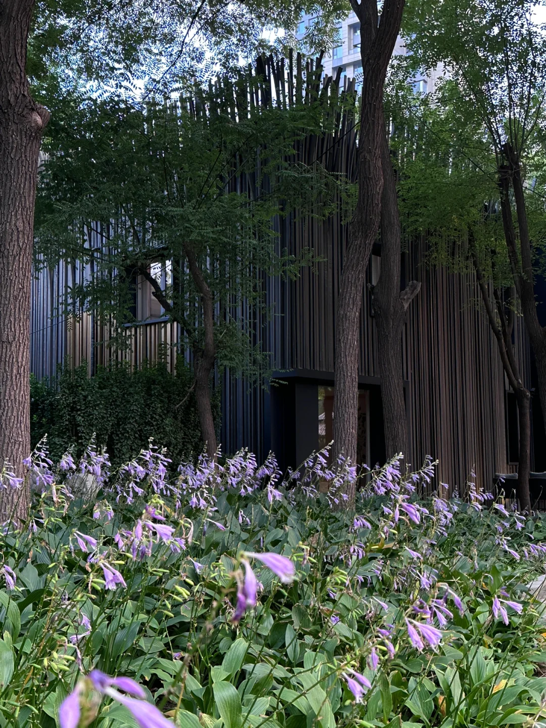 北京：）接下来好逛的❻个漂亮园子合集