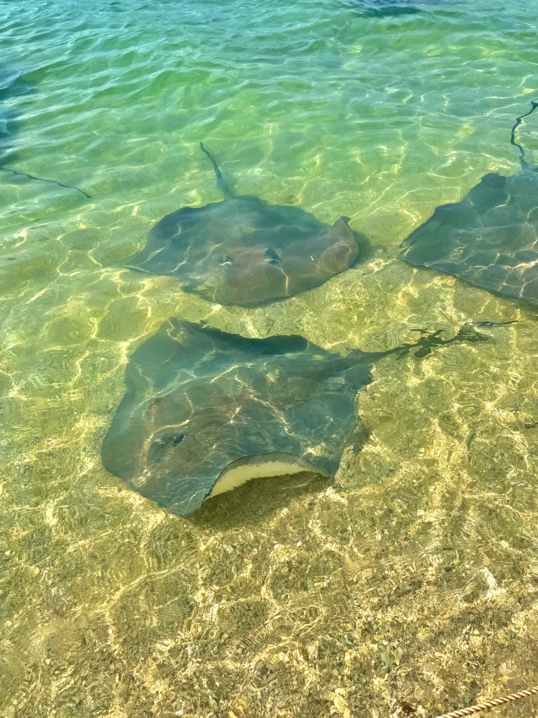 刚从陵水回来😭一定要去的小众绝美玻璃海景