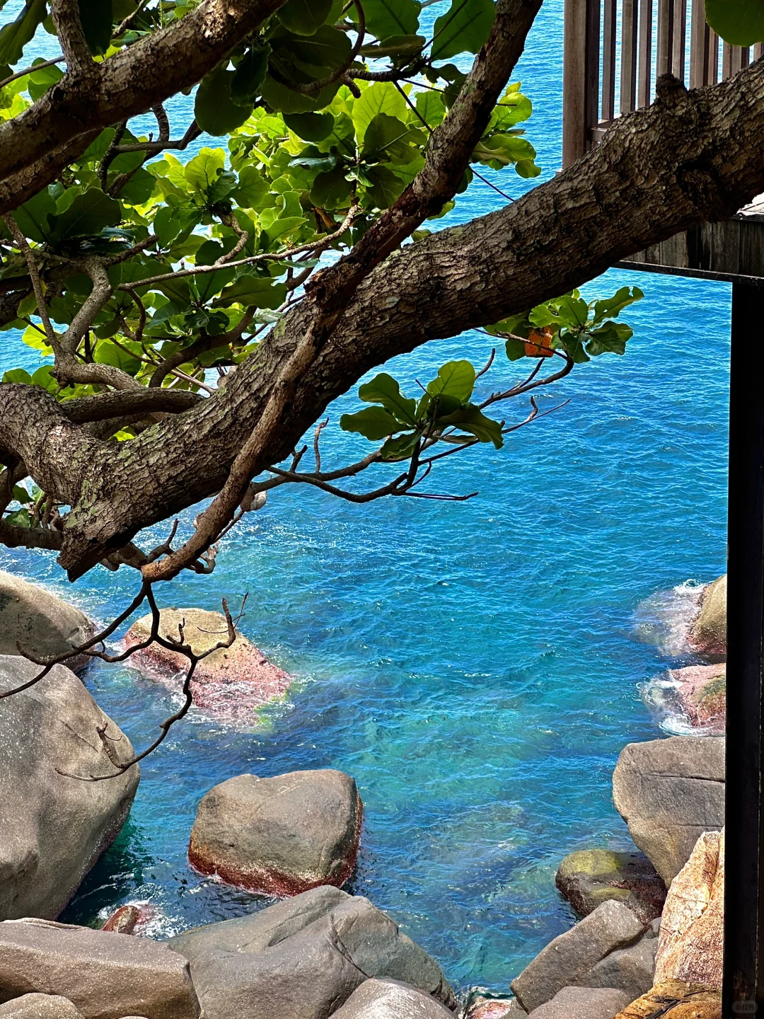 刚从陵水回来😭一定要去的小众绝美玻璃海景