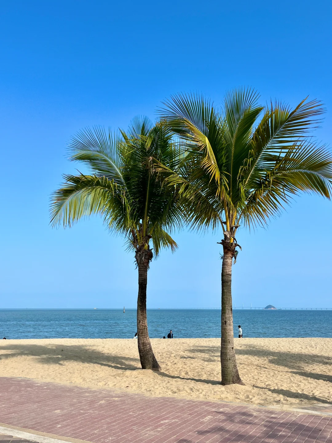 淡季的珠海真的是人生必去之地。。。