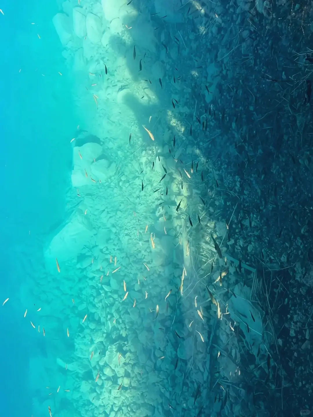 九寨沟📍三月赏花🌸攻略，错过等一年✨