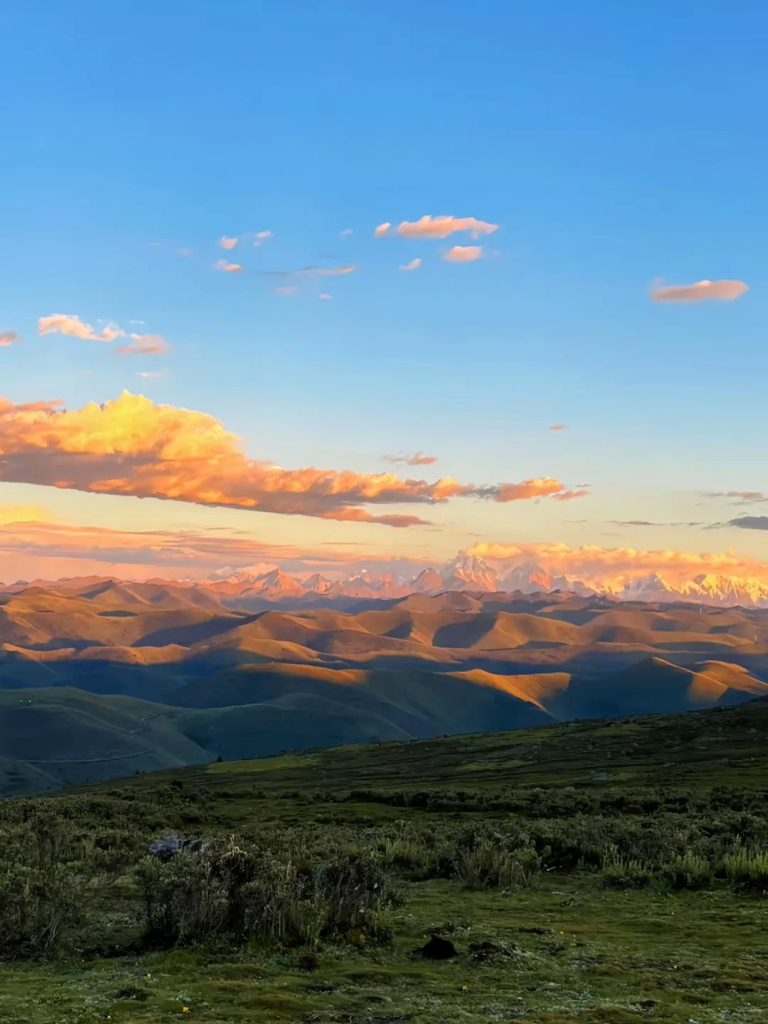 川西小团已回，帮大家避雷！（不删