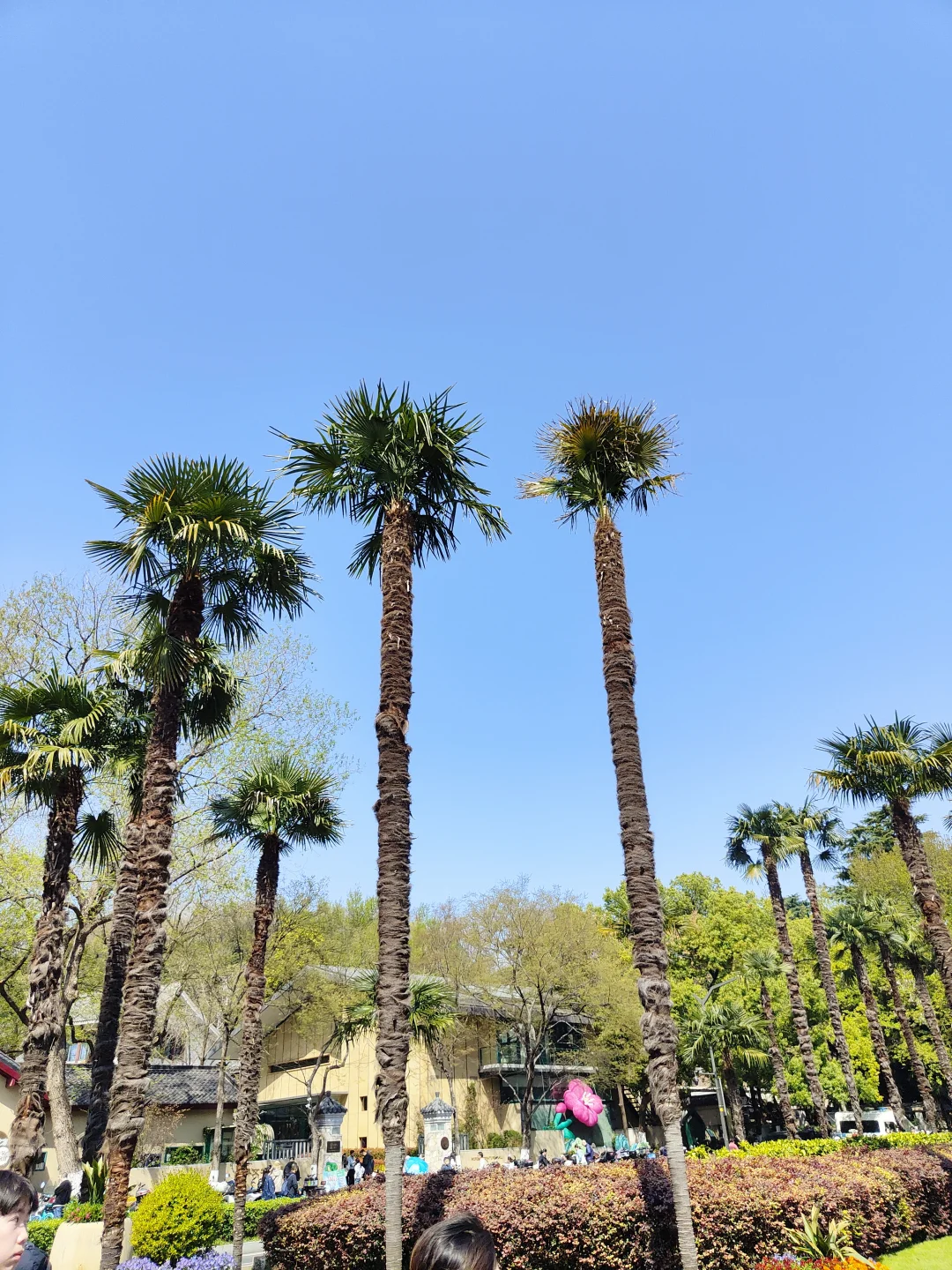 已撤退，百万大军攻打鸡鸣寺
