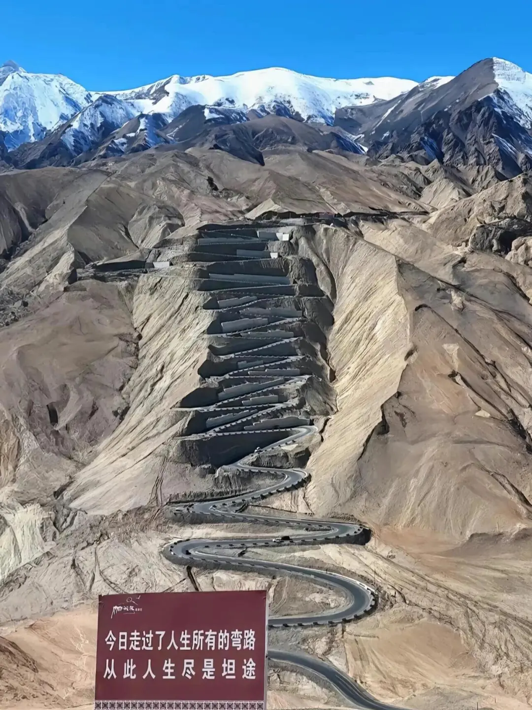 live图 | 3月份的南疆是一万次的春和景明🍃