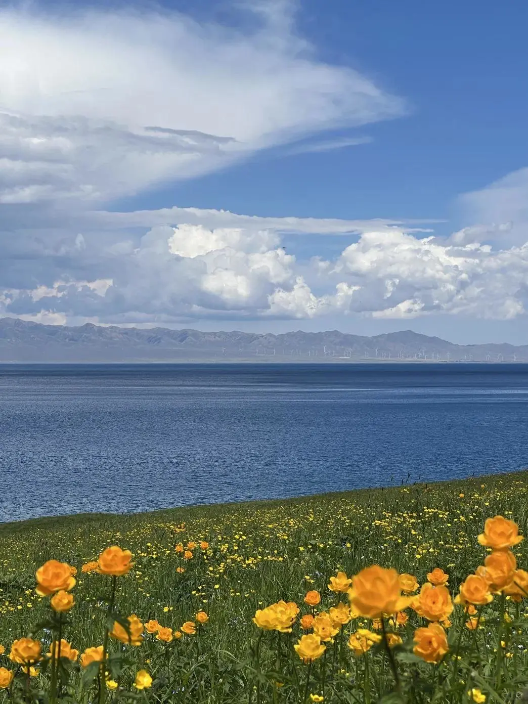 实话难听📍但这就是3-6月新疆伊犁现状