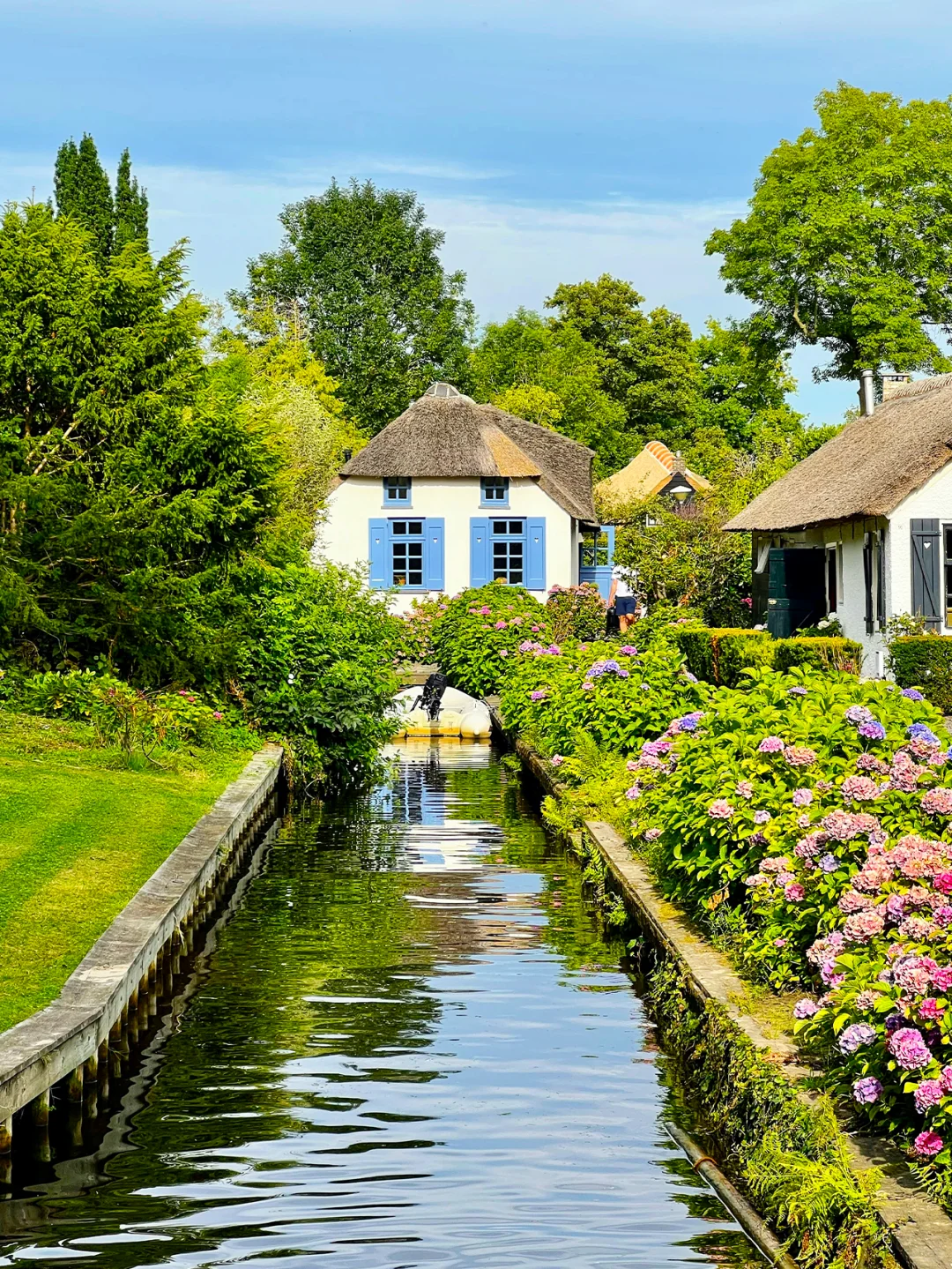 拜托😭大家去荷兰旅游千万别无脑冲啊