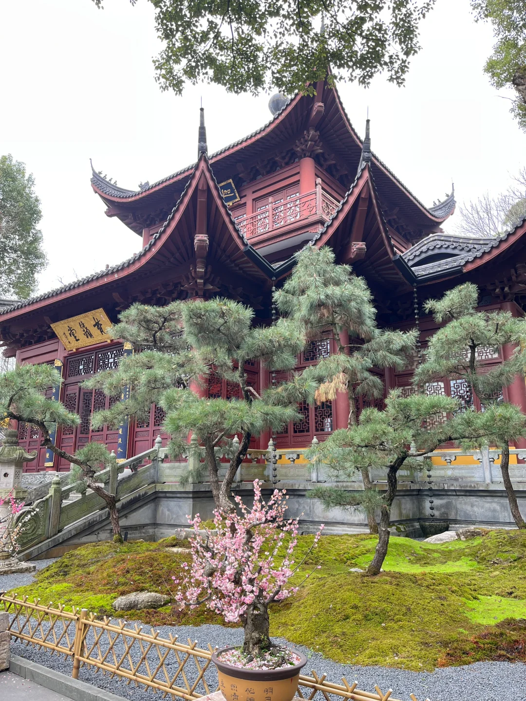 三月·杭州西湖