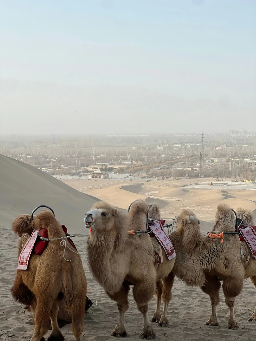 敦煌已回，真心建议3-5月去，因为。。。