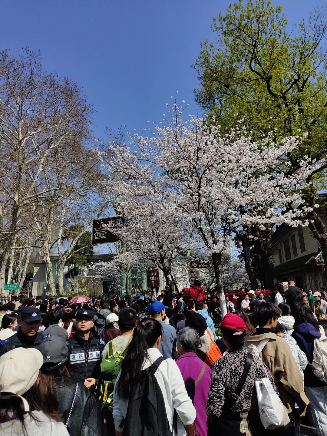 已撤退，百万大军攻打鸡鸣寺