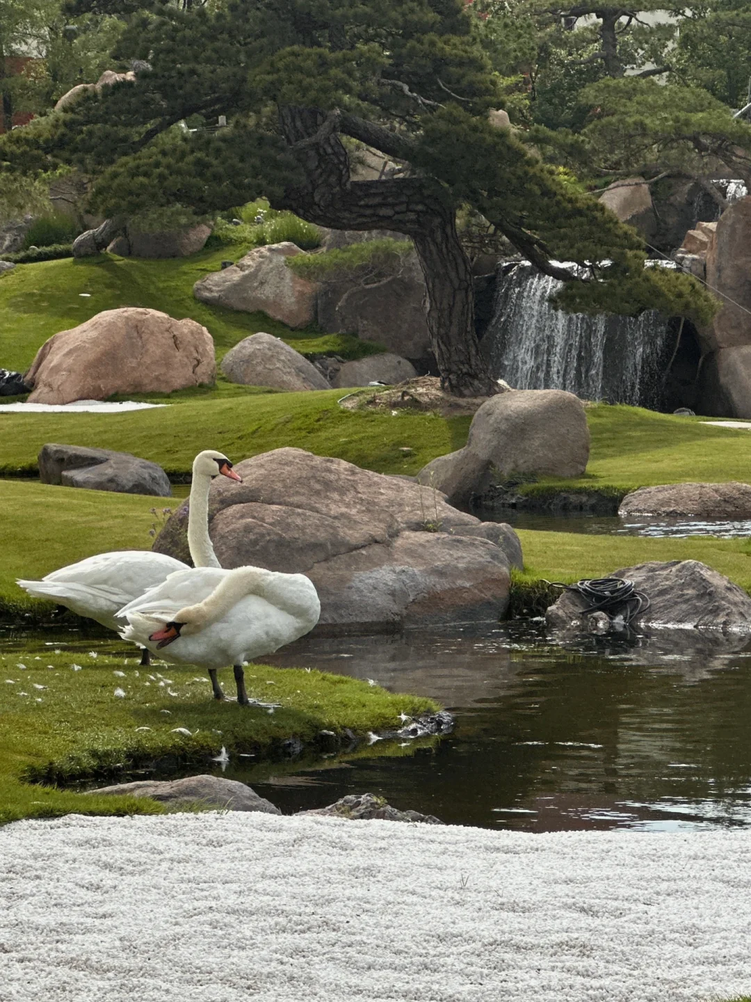 北京：）接下来好逛的❻个漂亮园子合集