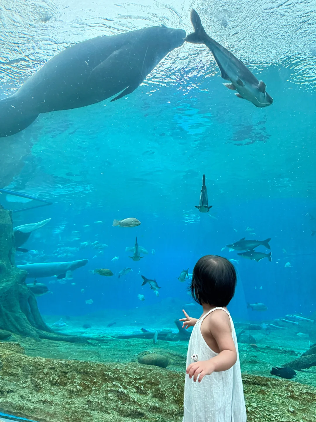 带娃陵水已回😭全是干货，我的建议是。。。