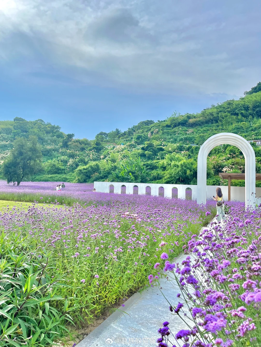 🏝️国内【新西兰】藏在浙江的小众海岛