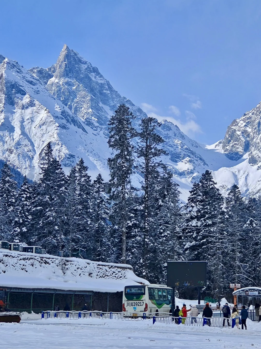 3.11 📍川西已回，live实况直出，劝退不了