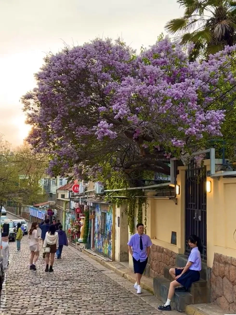青岛会惩罚每一个不提前预约的人！！！