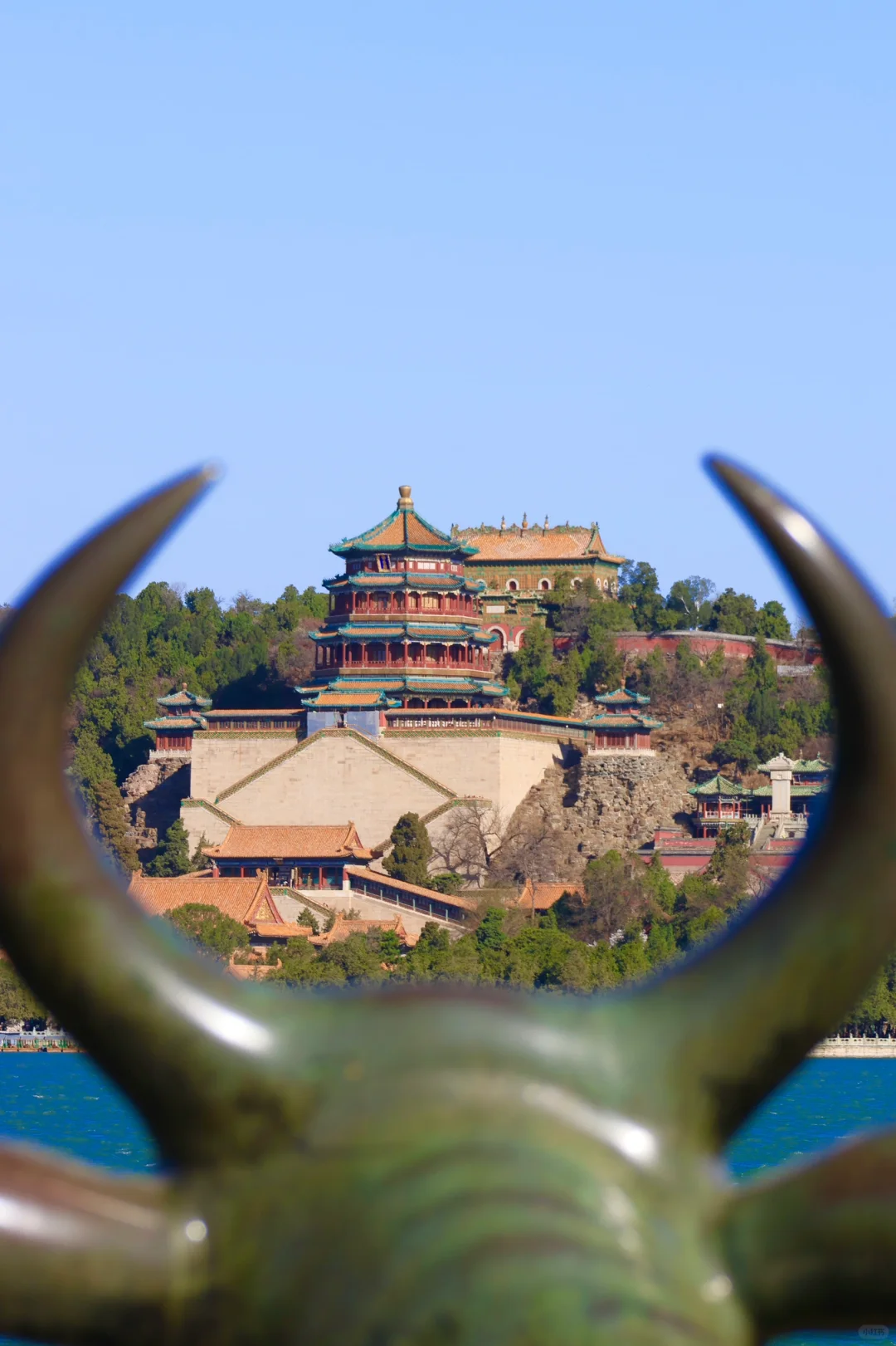 春天当然要来颐和园呀～