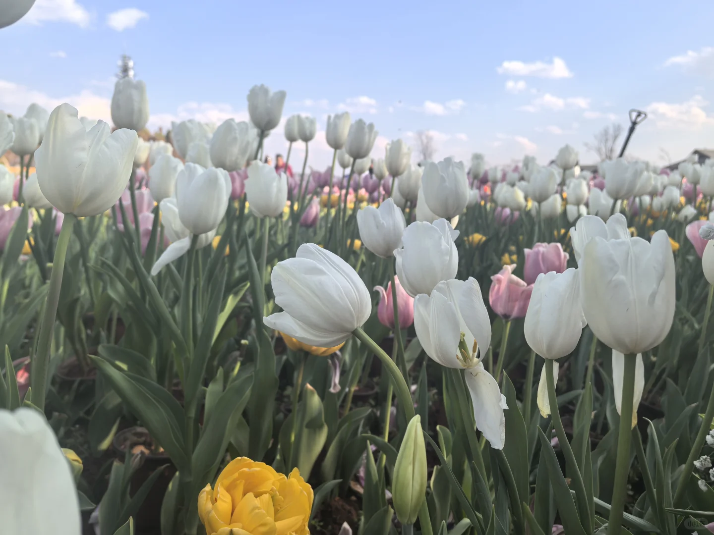 旅行的意义，不止是看风景