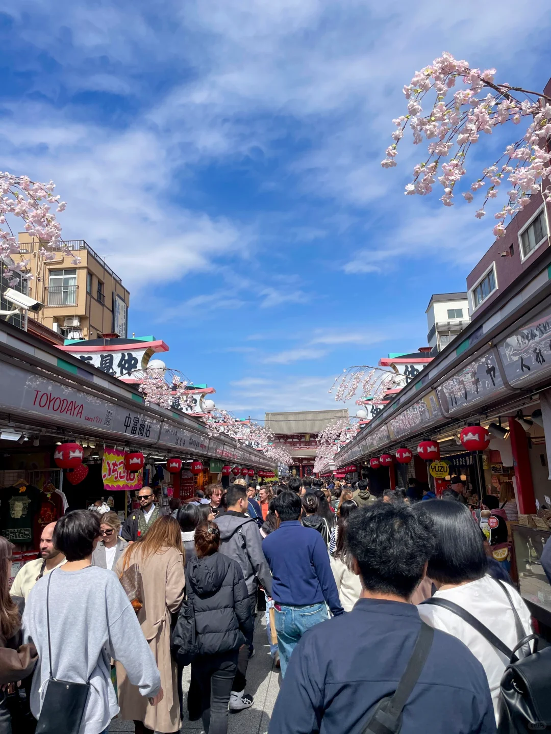 浅草寺、秋叶原、皇居、银座～