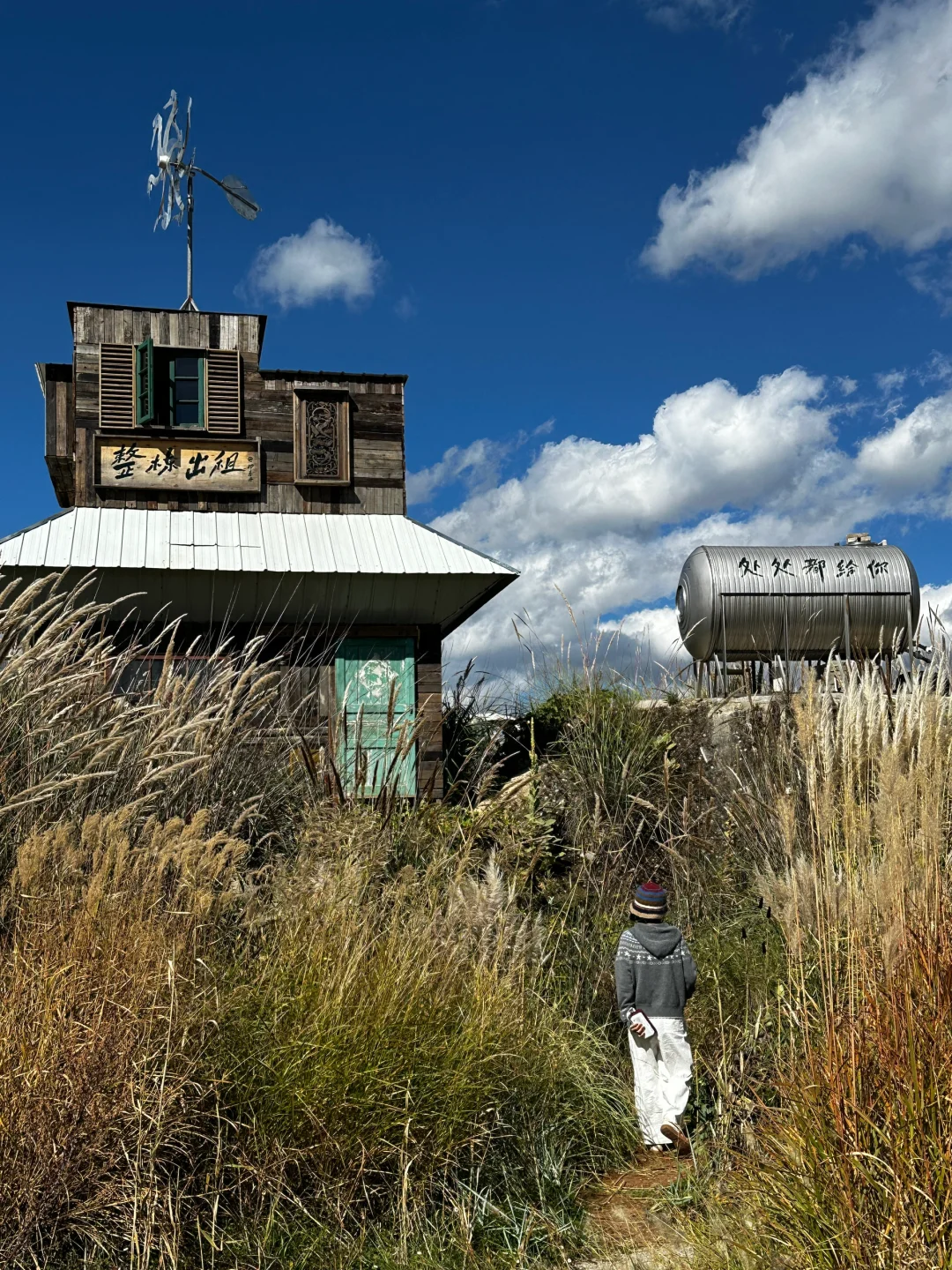跟风小红书最成功的一次‼️现实版宫崎骏世界