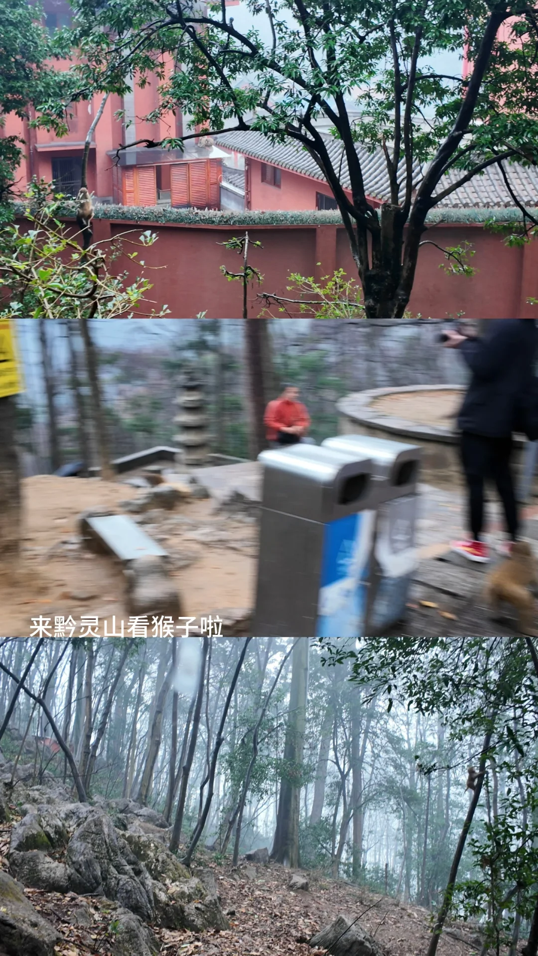 贵阳｜四天三夜的旅行碎碎念