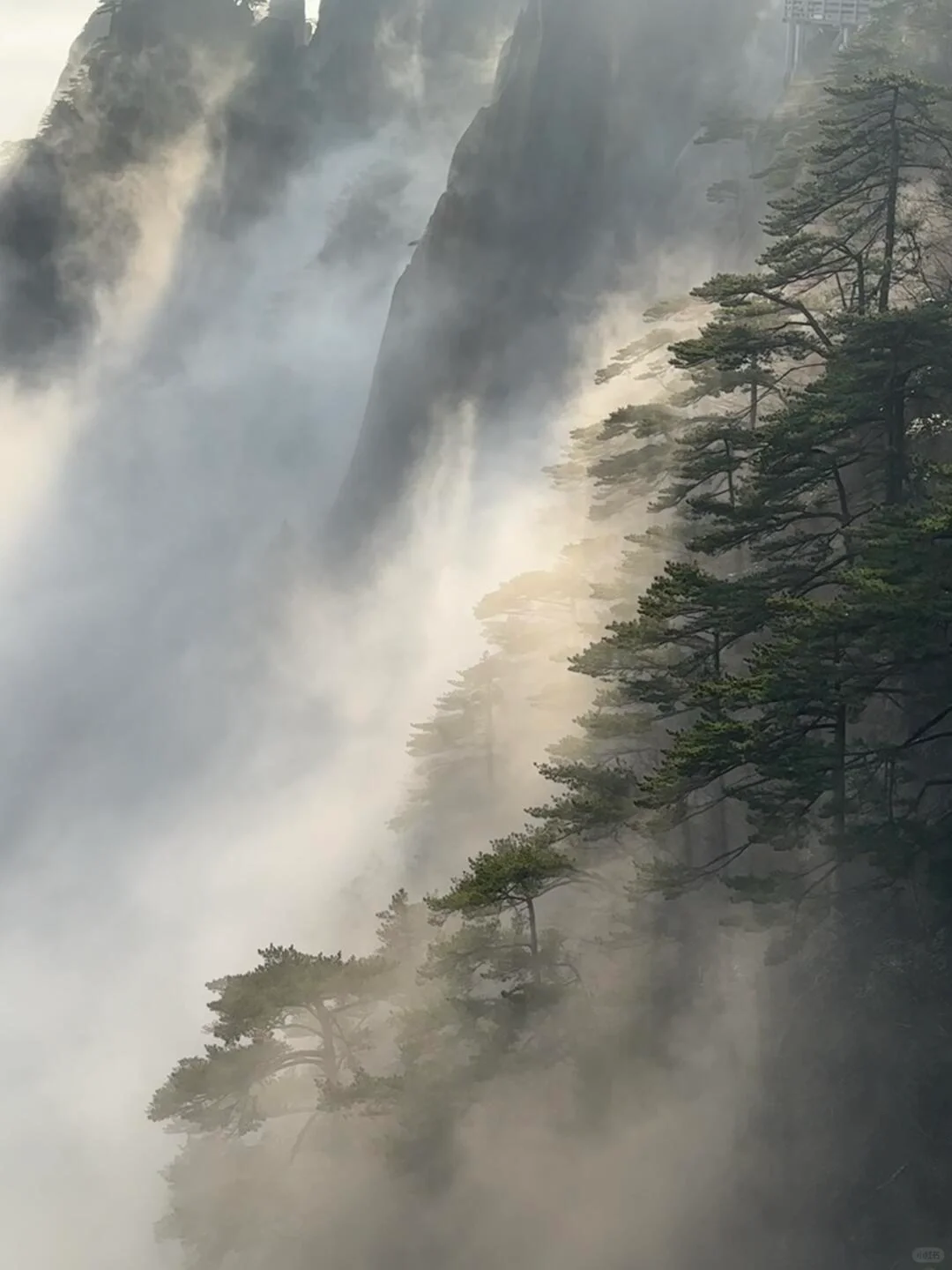 我真的很少用“震撼”来形容一个地方‼黄山