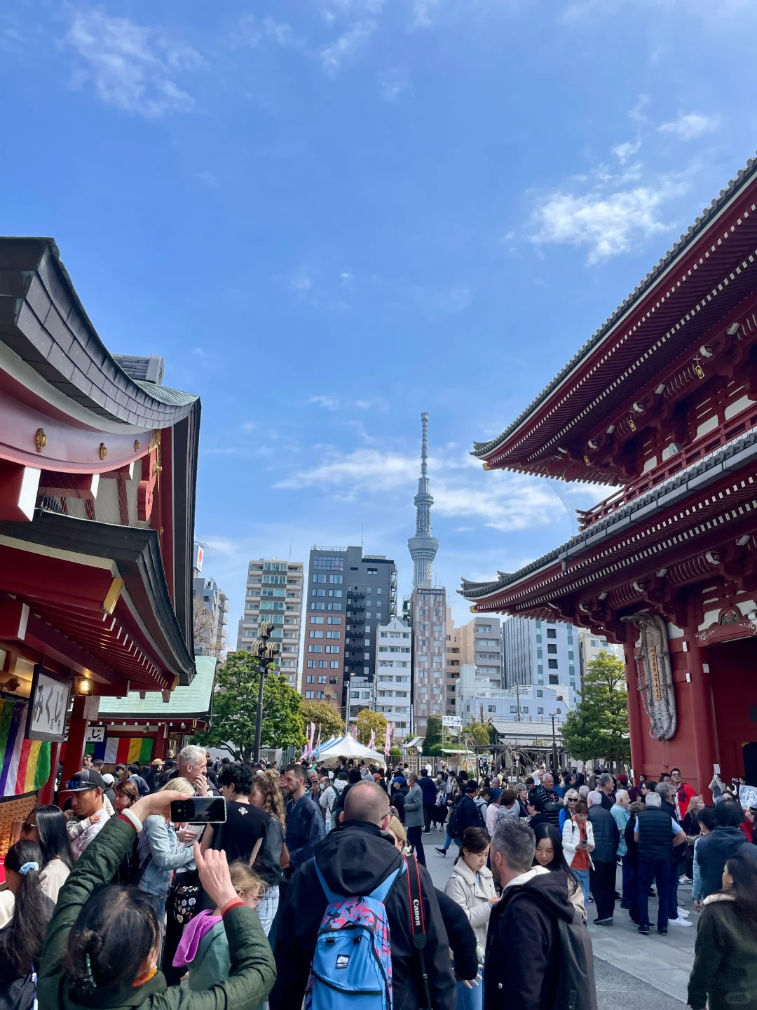 浅草寺、秋叶原、皇居、银座～