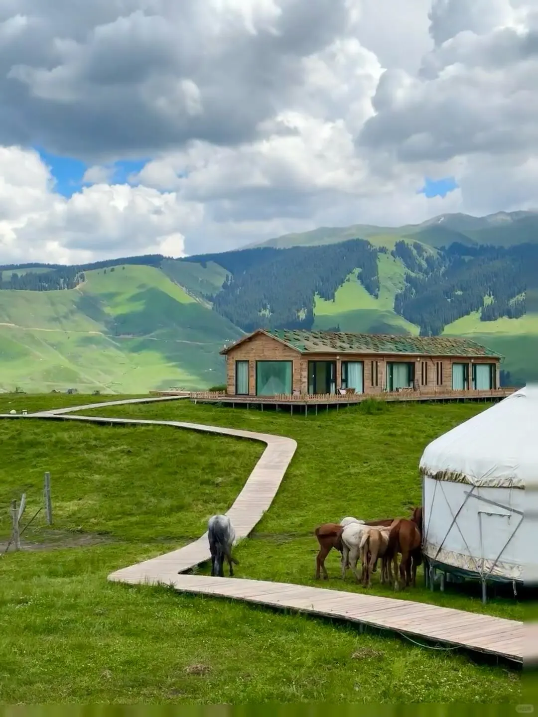 反向旅游|5月就去新疆伊犁,别等6月人挤人