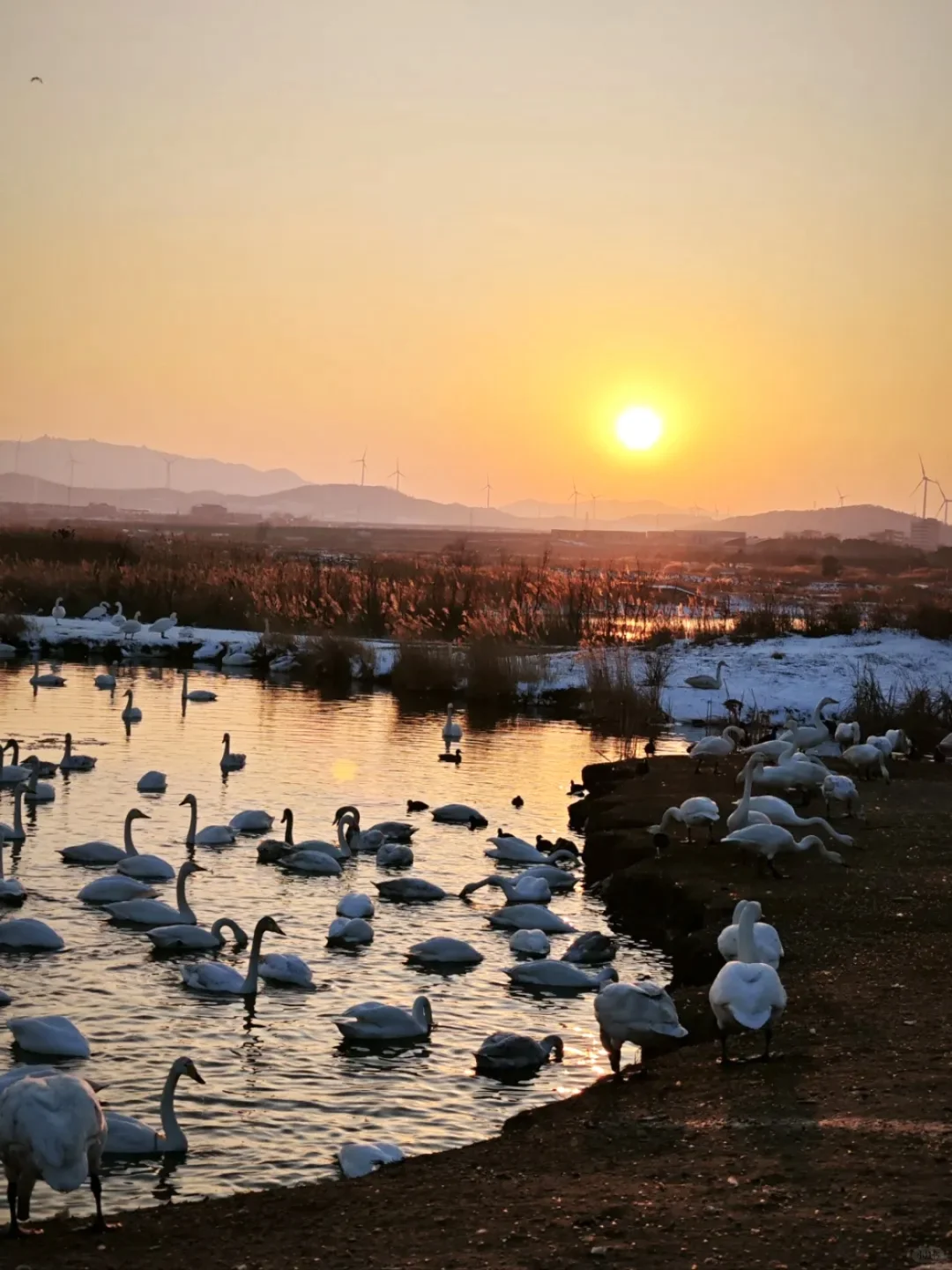 威海已回…真心提醒3月份打算去的家人们