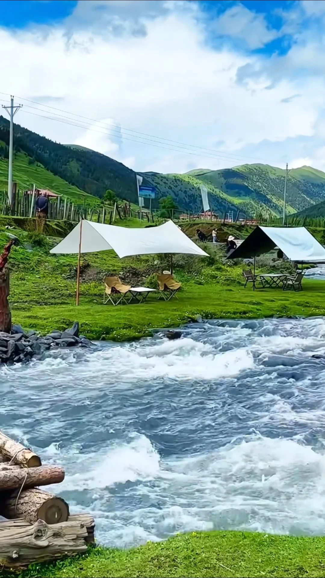 3.22📍鱼子西live实况，2天小团人均200+