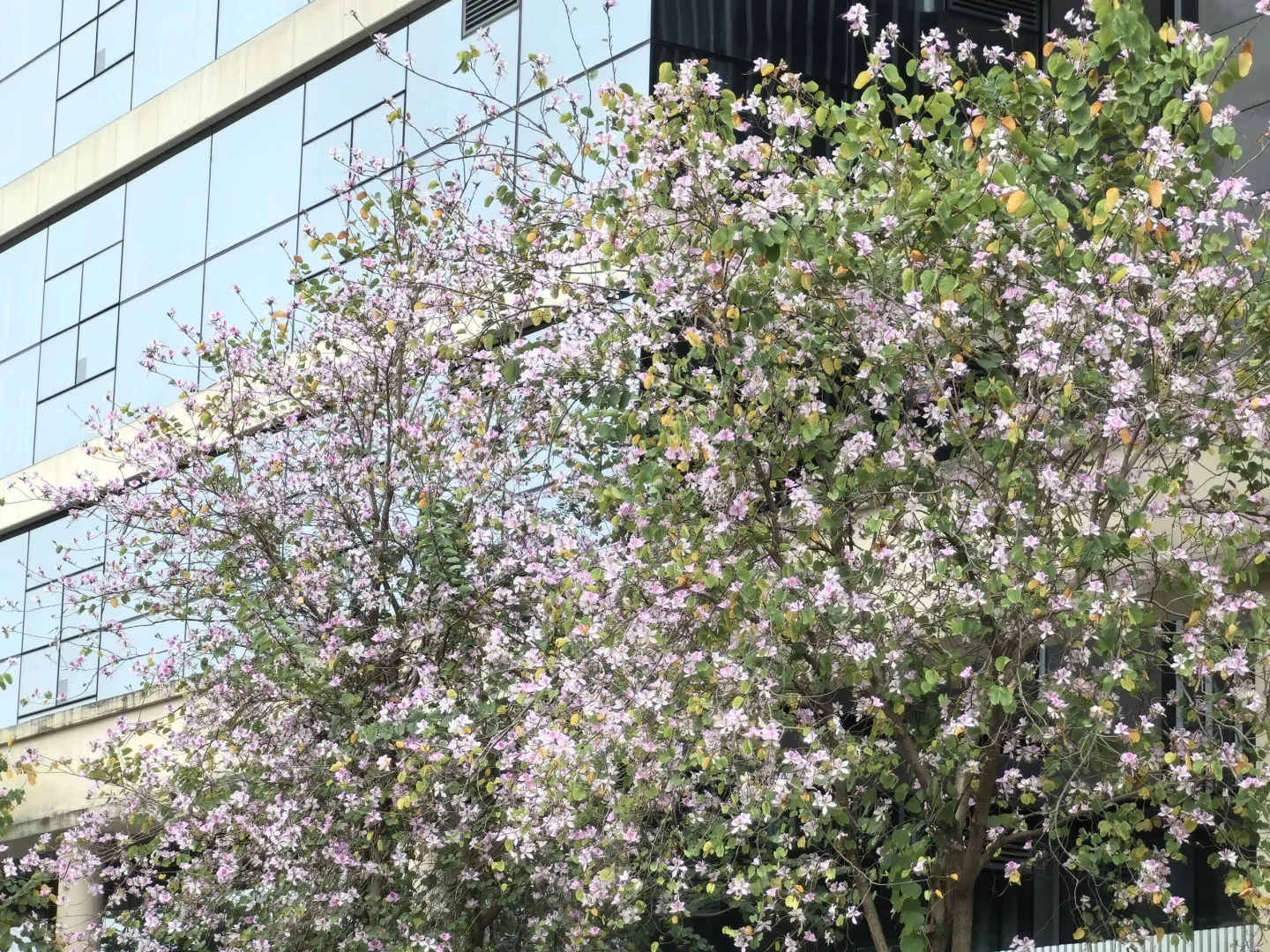 旅行的意义，不止是看风景