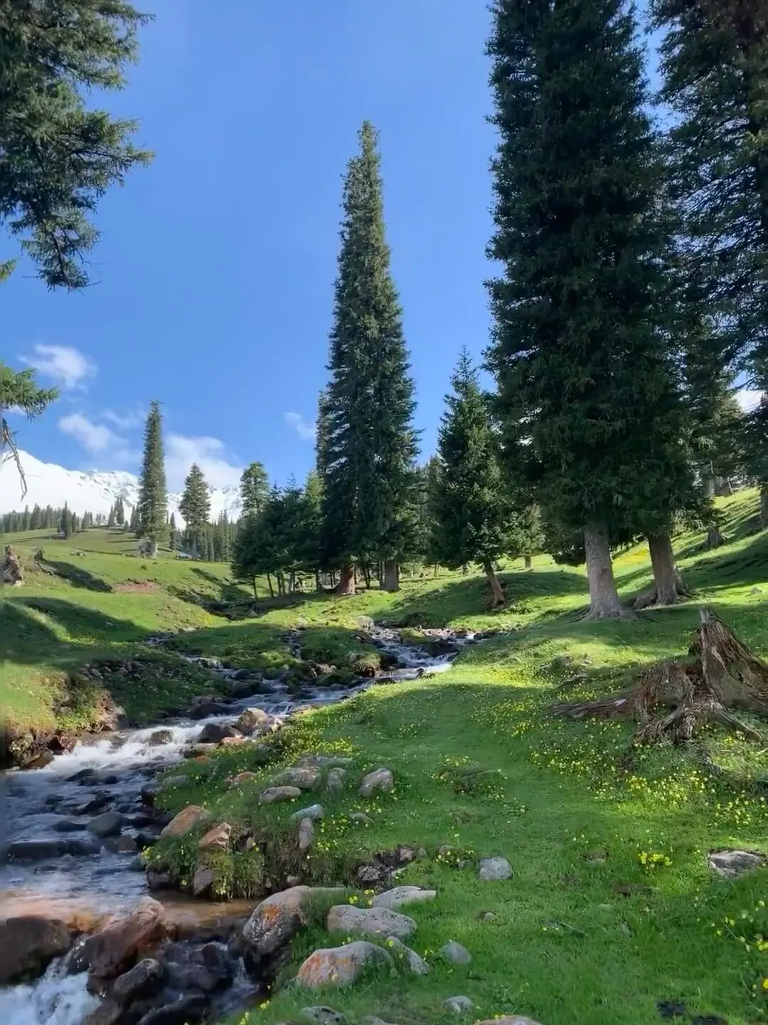 反向旅游|5月就去新疆伊犁,别等6月人挤人