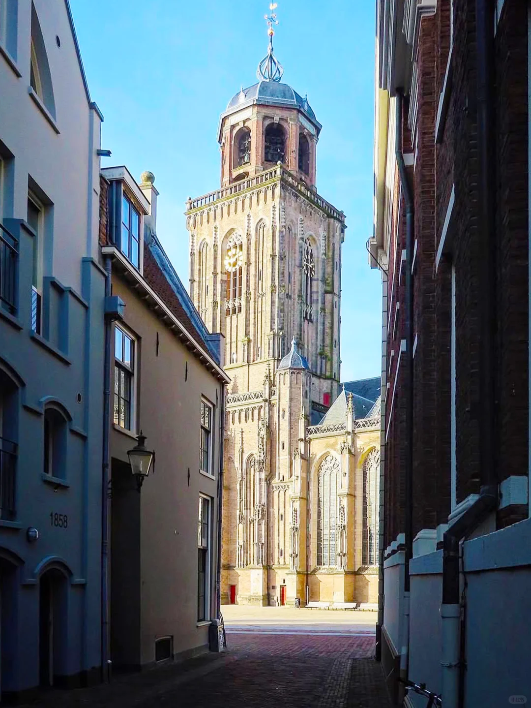 拜托😭大家去荷兰旅游千万别无脑冲啊