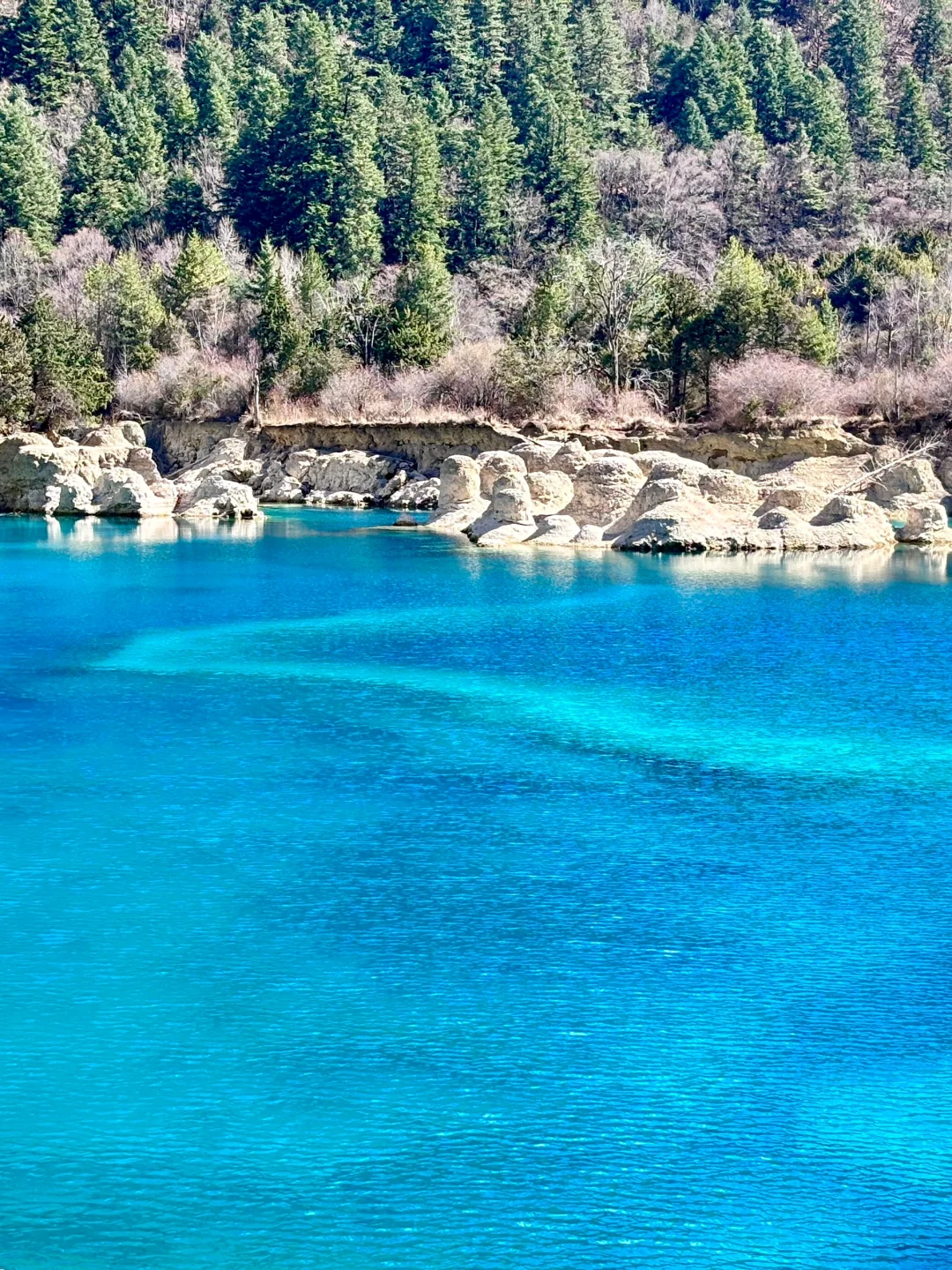 3.11 📍川西已回，live实况直出，劝退不了