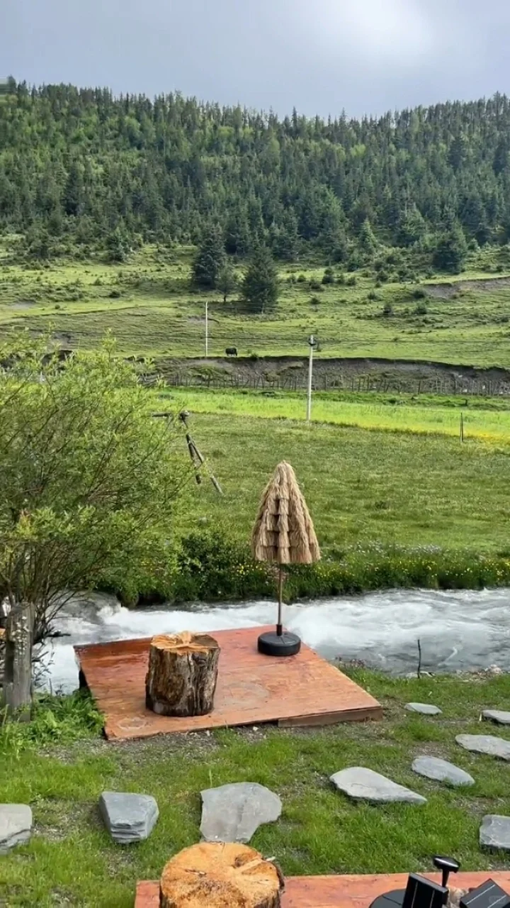 3.22📍鱼子西live实况，2天小团人均200+