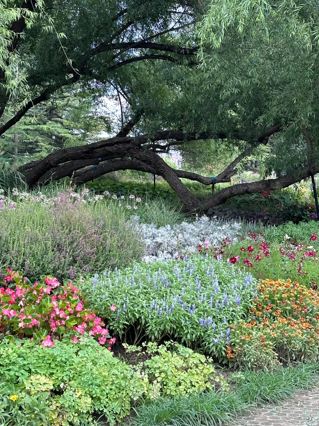 北京：）接下来好逛的❻个漂亮园子合集
