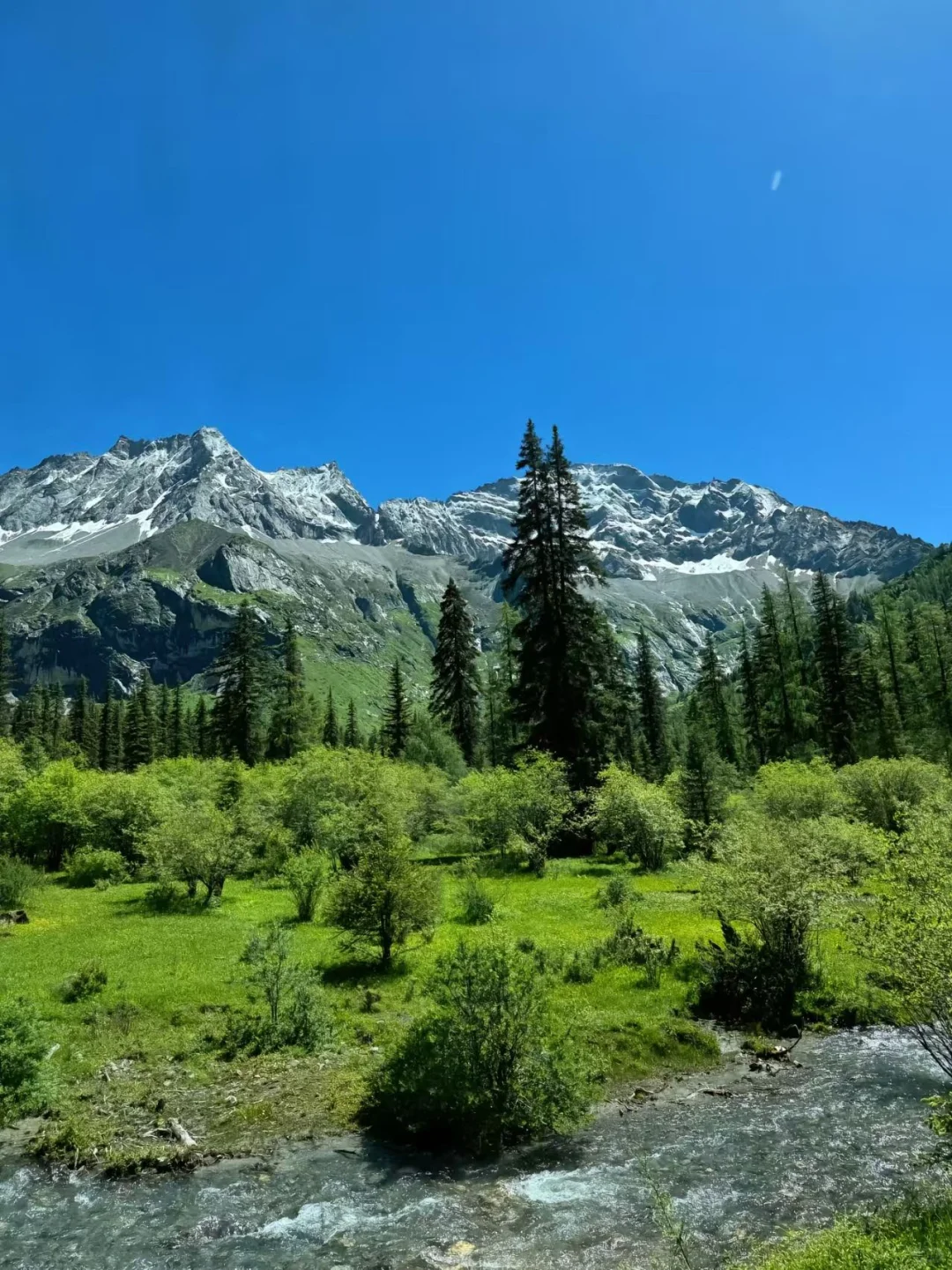 夏季的四姑娘山❗️才是川西真正的顶流😭