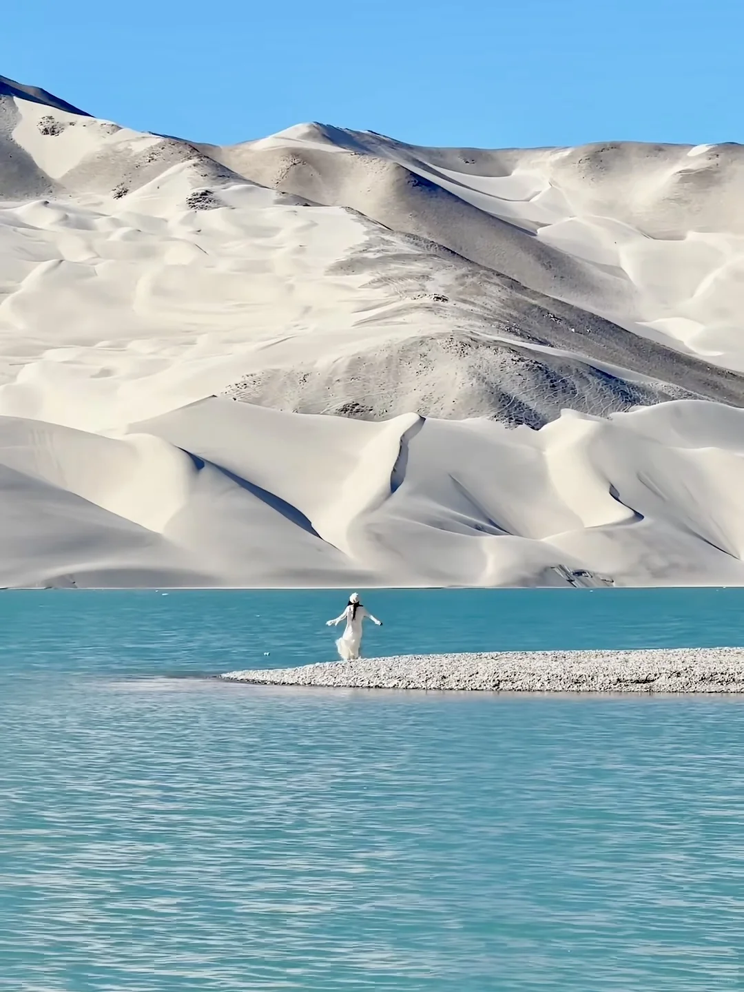 live图 | 3月份的南疆是一万次的春和景明🍃