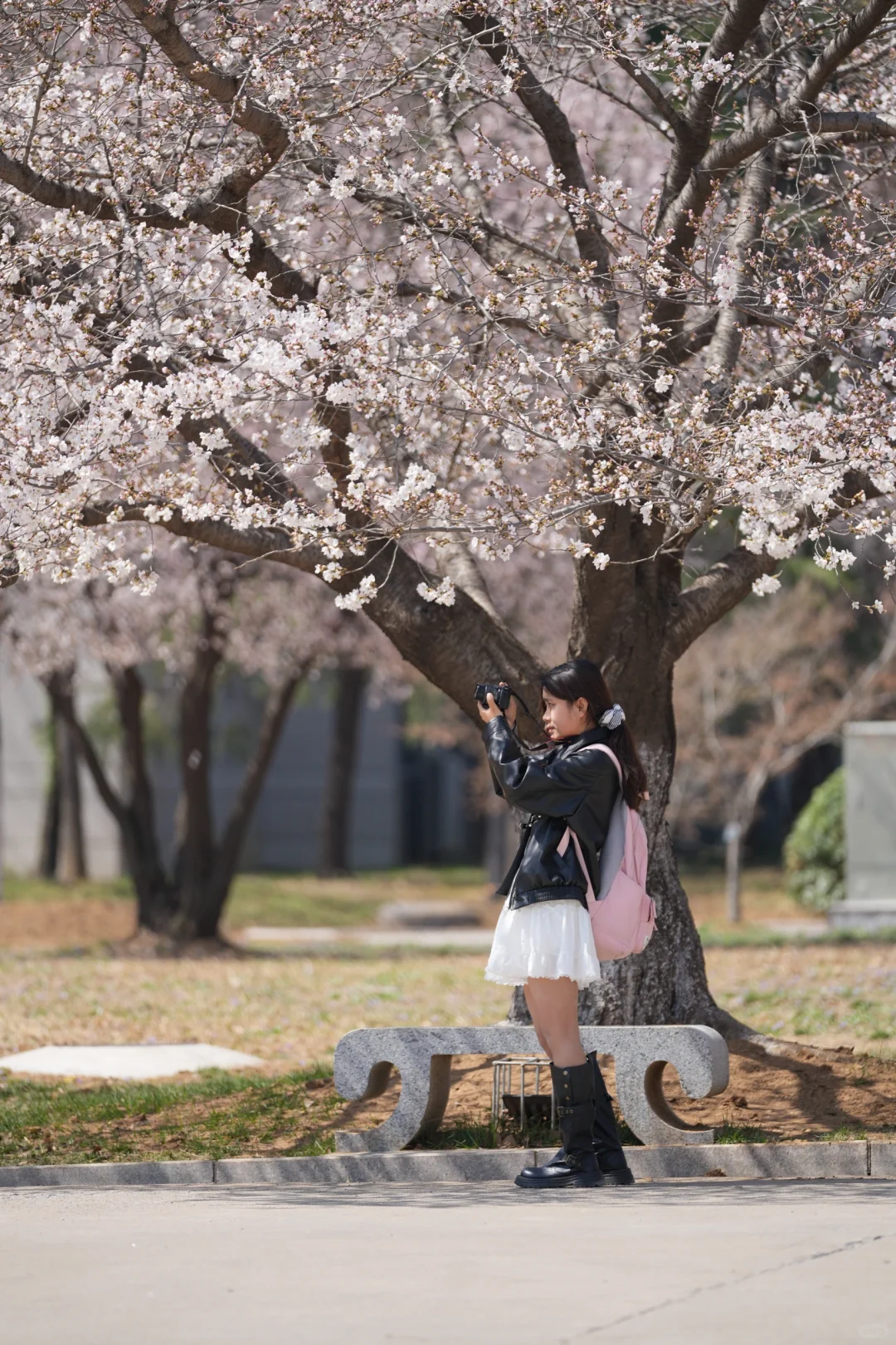 矿大即将迎来最美樱花季🌸