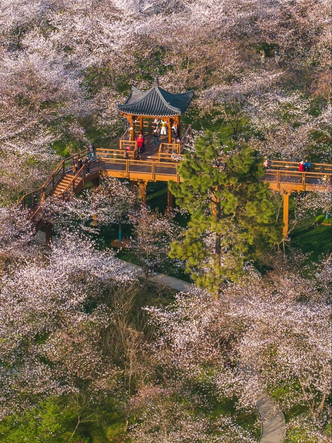 武汉热门🔥15个景点❗瞅瞅有没有你喜欢的