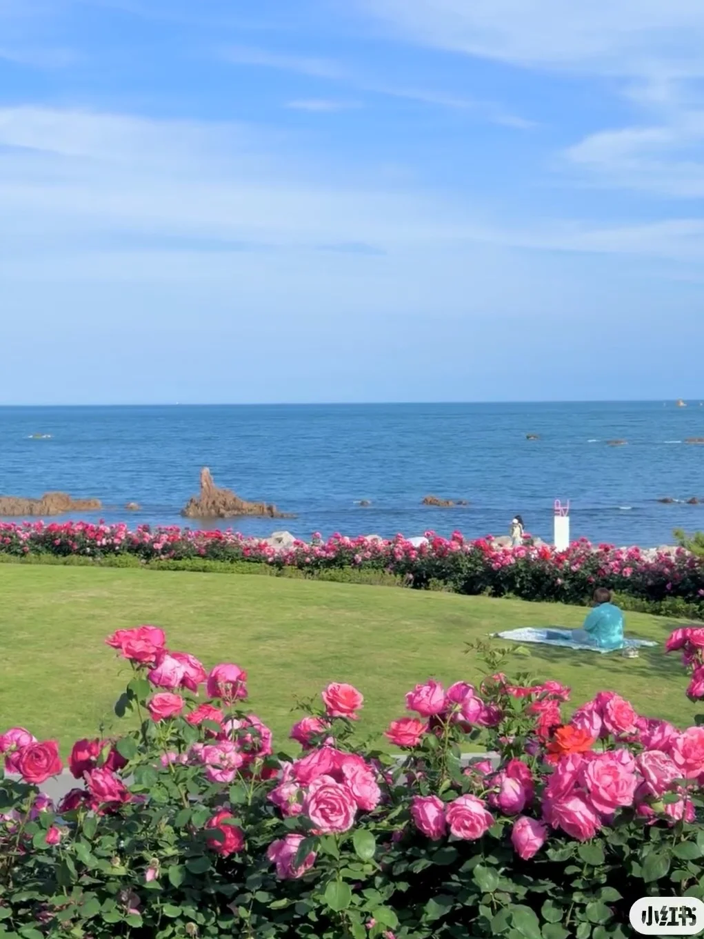 青岛会惩罚每一个不提前预约的人！！！