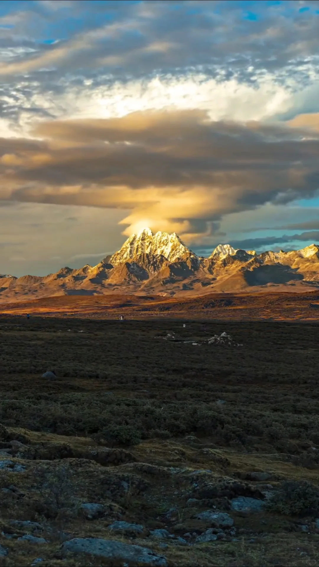 3.22📍鱼子西live实况，2天小团人均200+