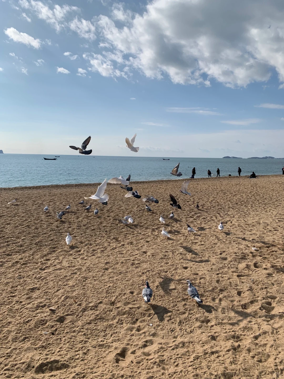 大连｜大方无隅，海色连天