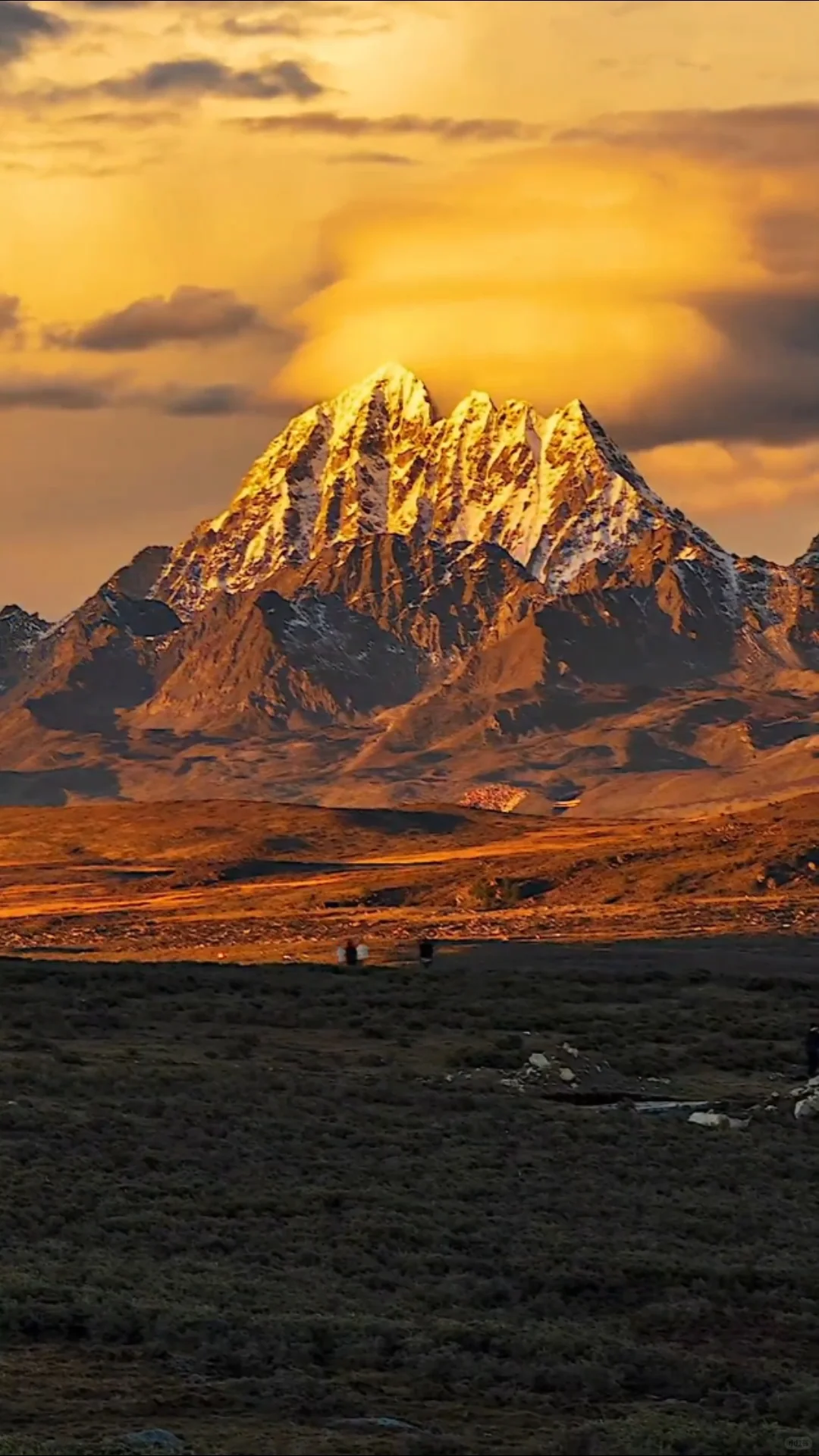 3.22📍鱼子西live实况，2天小团人均200+