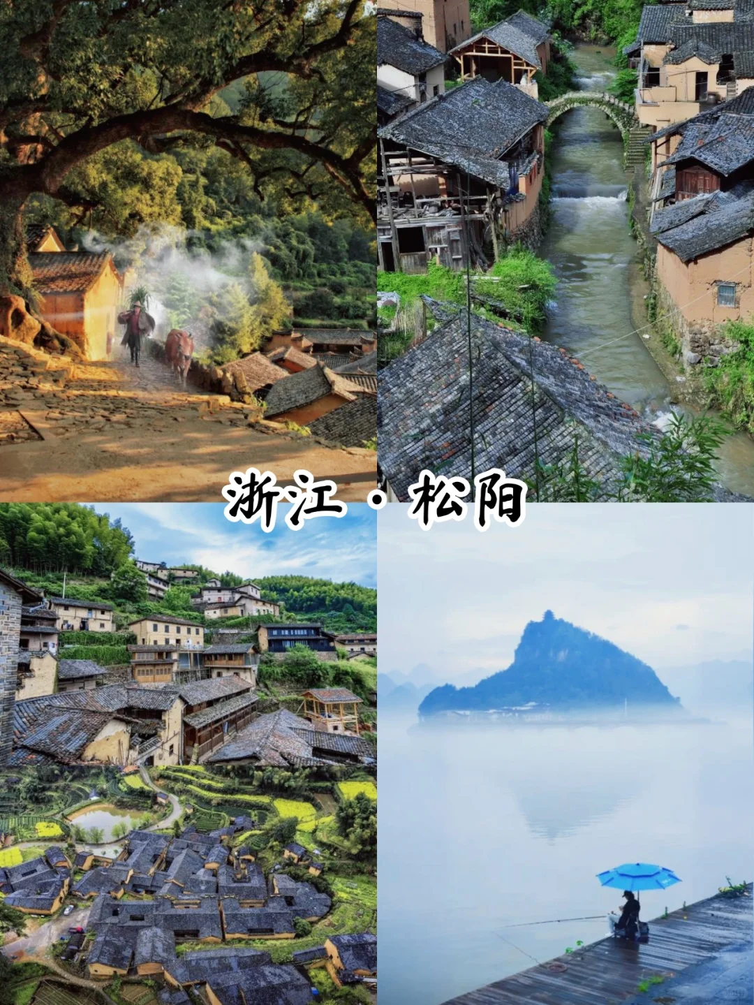 3月必打卡的小众旅游城市！99%的人不知道