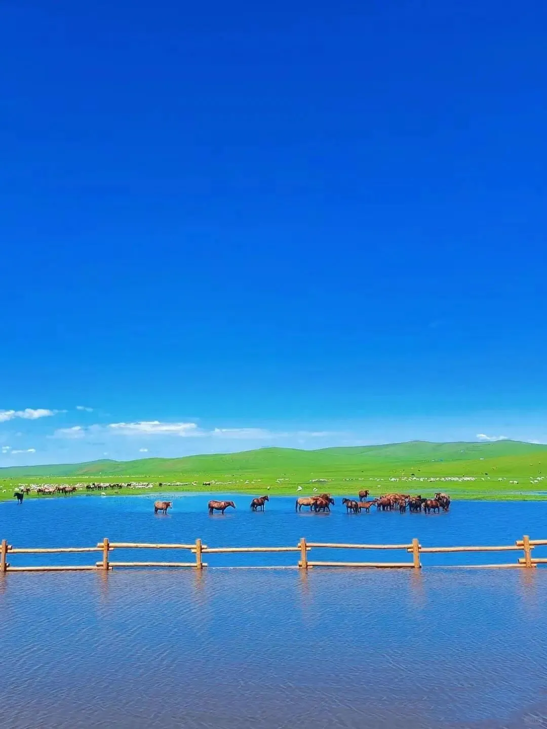 呼伦贝尔 | 六天五晚，闯入梦幻北疆画卷🌅