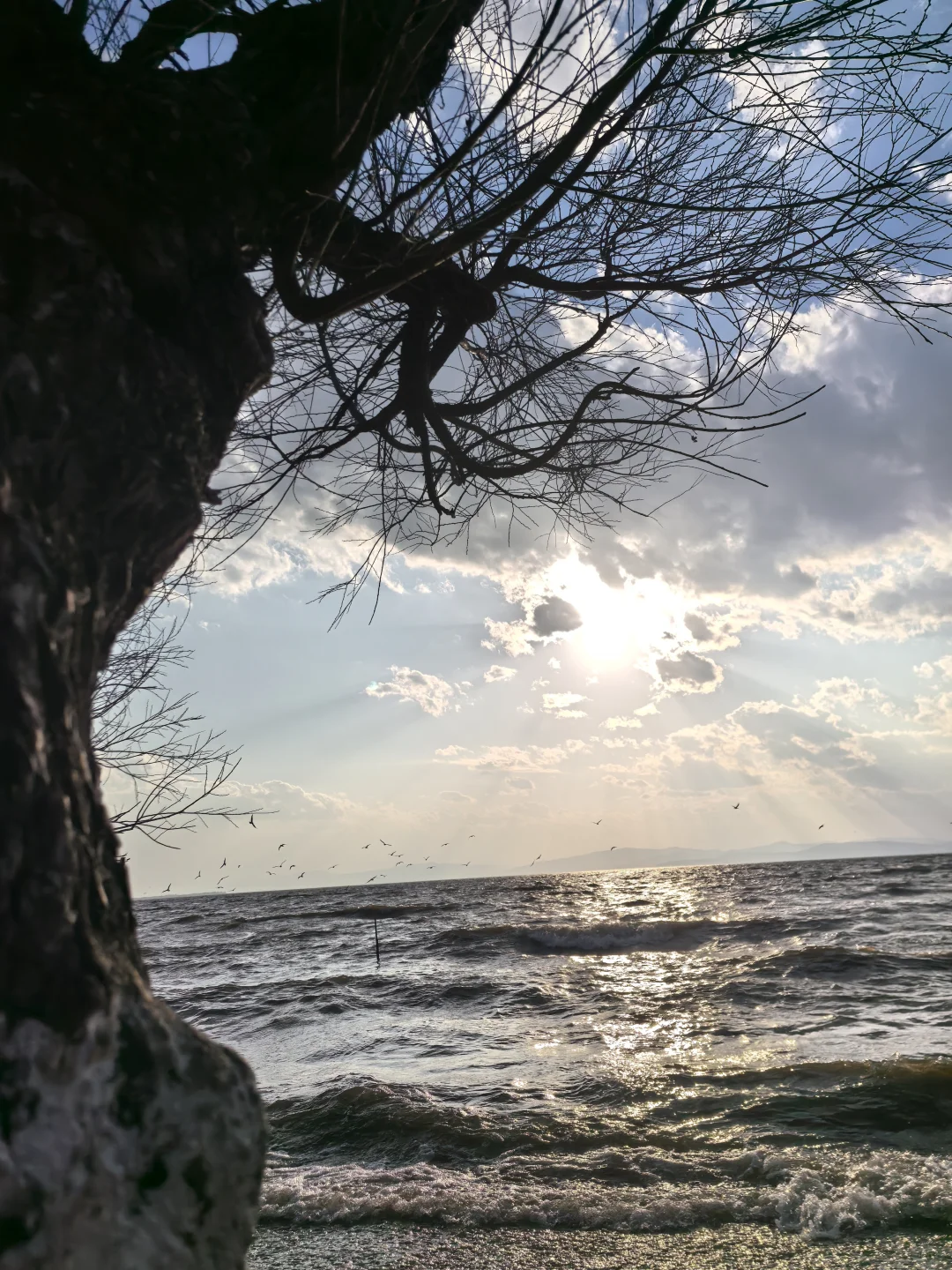 旅行的意义，不止是看风景