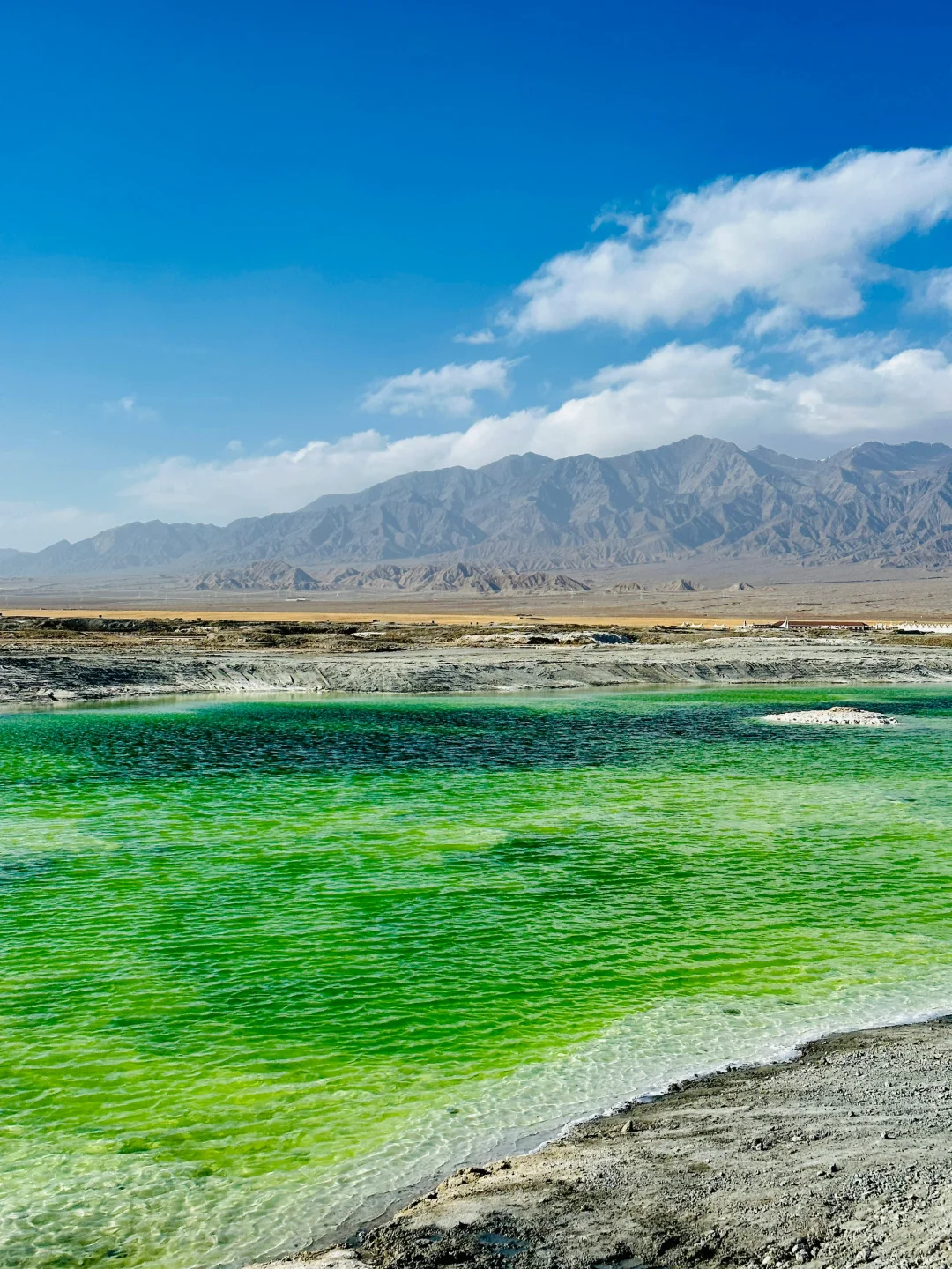 一个违背祖宗的决定
